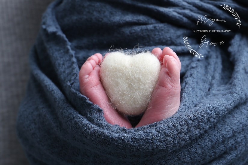 Loveland Newborn Photo Studio | Tiny Hands, Tiny Toes