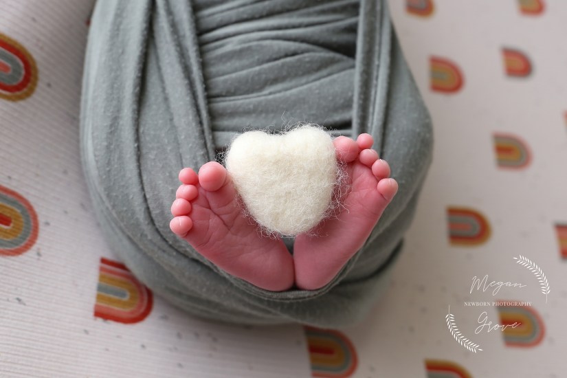 Newborn, Family and Sibling Pictures | Windsor&nbsp;Colorado